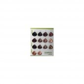 Biosellection Bitkisel İçerikli Kalıcı Saç  ÇİKOLATA KAHVE - 2