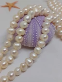 İnci Dizi Beyaz Royal Quality 7.5*9.5mm (53328) thumbnail 5