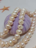 İnci Dizi Beyaz Royal Quality 7*9mm (53324) thumbnail 5