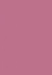 REYYAN DÜZ RENK POŞETLİ YAZMA - RENK-21 - GÜL KURUSU - 1