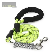 Anti-Şok Yaylı Köpek Gezdirme Kayışı 150x1.2 Cm - 3