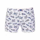 Berrak Erkek Çocuk Penye Desenli Boxer 6 Adet-1554  Karışık Renk 6 No:8-9 Yaş thumbnail 5