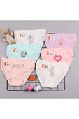 İlke Kız Çocuk Likralı Baskılı Bikini Külot 351 - 6 Adet  Karışık Renk 2 No:2-3 Yaş - 1