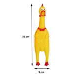 Öten Tavuk Köpek Oyuncağı Large 36 cm - 2