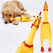 Öten Tavuk Köpek Oyuncağı Medium 30 cm - 3