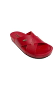Mulex 10953-24 Anatomik Trend Fashion Kadın Terlik - 4
