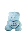 PELUŞ 25 CM KALPLİ RENKLİ AYI - 1