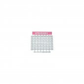 Pastime Kurabiye ve Şeker Hamuru Yazı Kaşesi - 2