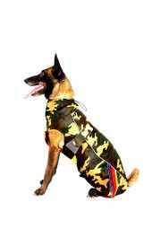 Doxy Büyük Irk İçi Polarlı Belden Ayarlanabilir Kemerli Köpek Yağmurluğu  KAMUFLAJ 50 Cm - 2