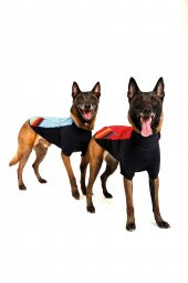 Doxy Büyük Irk Slim Fit Fermuarlı Köpek Montu  mavi 40 Cm - 2