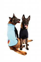 Doxy Büyük Irk Slim Fit Fermuarlı Köpek Montu  mavi 40 Cm - 10