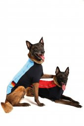 Doxy Büyük Irk Slim Fit Fermuarlı Köpek Montu  mavi 40 Cm - 11