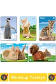 Premium Eğitici Çocuk Gelişimi Eğlenceli Öğrenme Dokun Hisset Tanı Yavru Hayvanlar Eğitim Kartları thumbnail 3