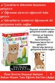 Premium Eğitici Duyusal Gelişim Görsel Algı Eğlenceli Öğrenme Çocuk Dokun Hisset Tanı Eğitim Kartlar thumbnail 1
