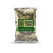 Lokman Aktar Aslan Pençesi Testere Dişli 1 KG - 1