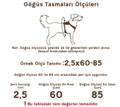 Esnek Yumuşak Doku Köpek Göğüs Tasma Takım 2x34-52 Cm - 5