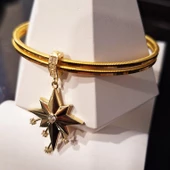 Charm Ajda Yıldız Altın Bilezik Ziynet Gold ZG2118 - 1