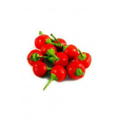 Agrobazaar ACI AKİRAZ (CHERRY) BİBER 10+ TOHUM - 3