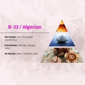 David Walker ALGERIAN B23 50ML Çiçek&Odun Kadın Parfüm - 3