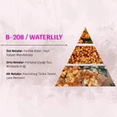 David Walker WATERLILY B208 50ML Kadın Parfüm thumbnail 3