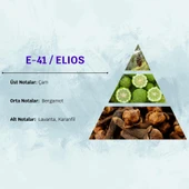 David Walker ELIOS E41 50ML Odunsu(Çam) Erkek Parfüm thumbnail 3