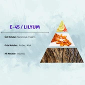 David Walker LILYUM E45 50ML Odunsu  Erkek Parfüm thumbnail 3