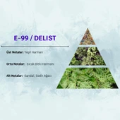 David Walker DELIST E99  50ML Aromatik  Erkek Parfüm - 3
