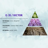 David Walker VICTOR E31 50ML Meyve&Misk Erkek Parfüm thumbnail 3