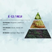 David Walker REJI E12 50ML Odunsu Erkek Parfüm thumbnail 3