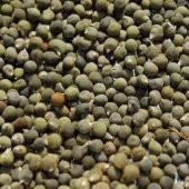 BenimAktar İlaçlık Bamya Tohumu 250 Gr - 2