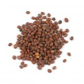 BenimAktar Turp Tohumu Temiz 1.Kalite 100 Gr - 2