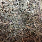BenimAktar Kara Hindiba Yeni Mahsül 100 Gr - 2