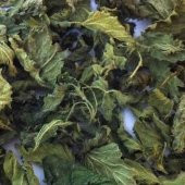 BenimAktar Isırgan Otu Yaprağı 1 Kg thumbnail 2