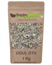 BenimAktar Oğul Otu 1 Kg - 1