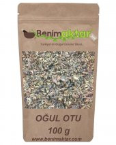 BenimAktar Oğul Otu 100 Gr - 1