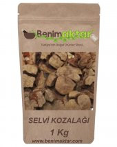 BenimAktar Servi Selvi Kozalağı Yeni Mahsül 1 Kg - 1