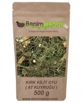BenimAktar Kırk Kilit Otu Yeni Mahsül 500 Gr - 1