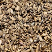 BenimAktar Devedikeni Tohumu 100 Gr - 2