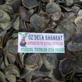 BenimAktar Cin Tırnağı 10 Adet - 1