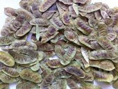 BenimAktar Açlık Otu 100 Gr - 2