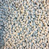 BenimAktar Fasulye Erzincan Dermason 8.5 mm 1 Kg - 2