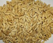 BenimAktar Çifte Kavrulmuş Kabak Çekirdeği Garantili Çok Taze 1 Kg - 2