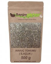 BenimAktar Havuç Tohumu İlaçlık 500 Gr - 1