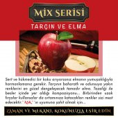 Ölümsüz Aşk Mix Serisi Tarçın & Elma Kokulu 12 ml Heybet Şişe Oto Kokusu - 2