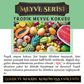 Meczub Meyve Serisi Tropik Meyve Kokulu 10 x 12 ml Elma Şişe Oto Kokusu - 1