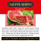 Ölümsüz Aşk Meyve Serisi Karpuz Kokulu 5 x 8 ml Silindir Şişe Oto Kokusu thumbnail 2