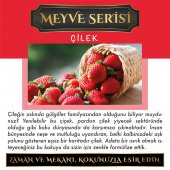 Ölümsüz Aşk Meyve Serisi Çilek Kokulu 5 x 8 ml Silindir Şişe Oto Kokusu - 2