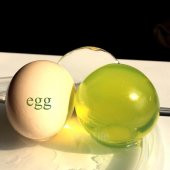 XXXL EN BÜYÜK DEV BOY 20 ADET ŞİŞEN BÜYÜYEN SU MAYMUNU MAYMUNCUĞU TOPU BONCUK TOP KÜRE MİSKET 50-80 MM - 4