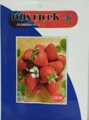Miss Çilek Tohumu 10 gr 1 Adet - 3