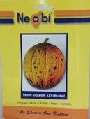 Kırkağaç Kavun 10 gr 1 Adet - 1